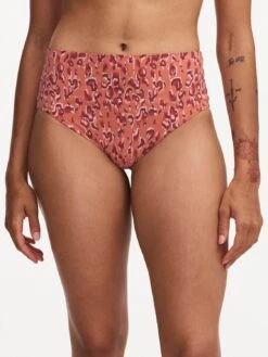 Chantelle EOS Bikini Taillenslip -Unterwäsche Discounter C11T80 0J5 2