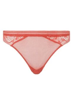 Passionata Thelma Tanga 8 Passionata Thelma Tanga -Unterwäsche Discounter P43H70 0FO 16